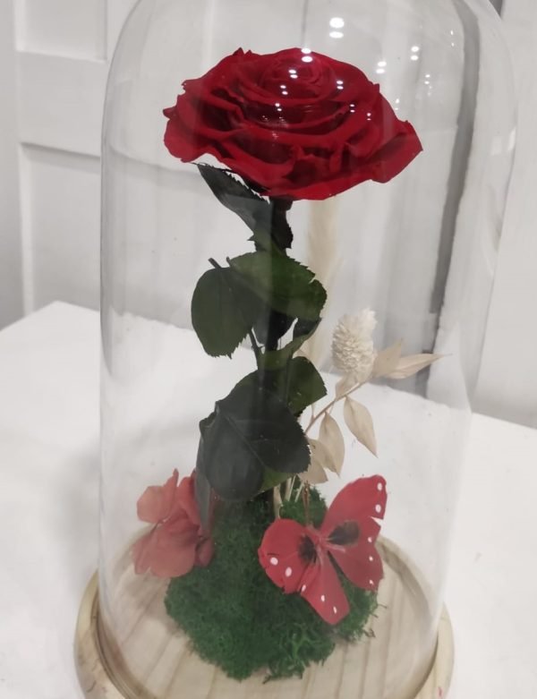 Cúpula con rosa preservada