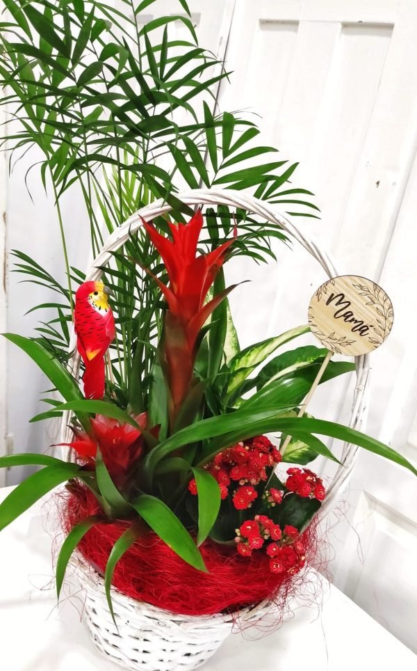 Cesta plantas Mamá Mediana